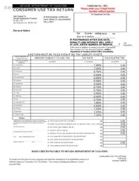 Blank Consumer Use Tax Return Nevada PDF Template