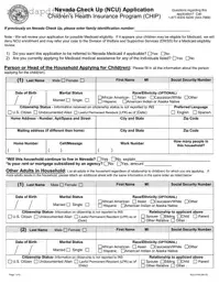 Blank Nevada Check Up PDF Template