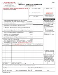 Blank Nevada Nucs 4072 PDF Template