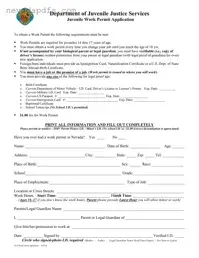 Blank Nevada Work Permit Application PDF Template